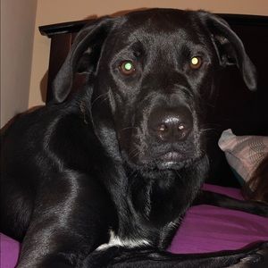 Meet your Posher, Pam